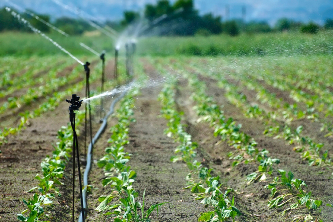 Projet de développement de l’irrigation à Rwabura - Foto